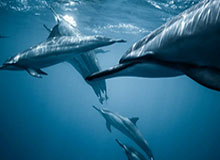 澳客网官网-“迎春杯”2026年青少年足球邀请赛在新疆喀什开幕！