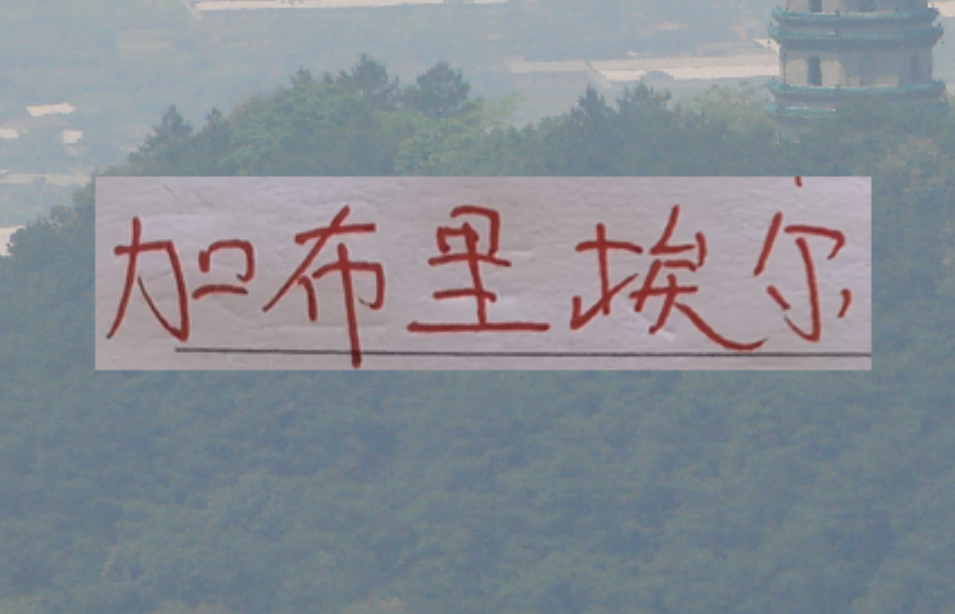 澳客网-鱼缸里的鱼又回来！海港加布里回来后 今年说实话实力是增强了